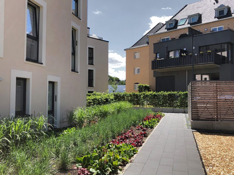 Schnitt Harscampstraße 11